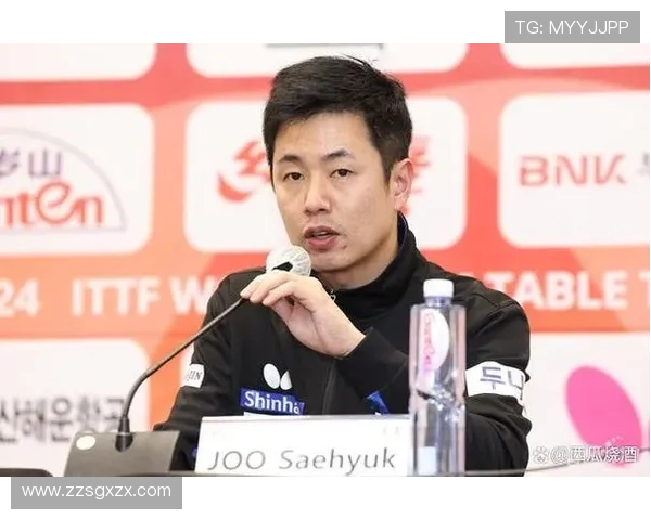 吴娜回顾乒乓球辉煌历程与心路历程的深度专访