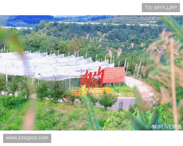 广州攀岩队的奋斗历程与成长故事全景纪实