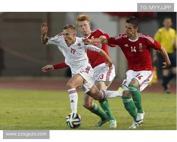 本特利与西悉尼的精彩对决分析及赛前预测分享