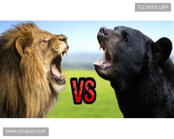 腾飞之狮与澳门黑熊的巅峰对决谁将成为胜利的王者