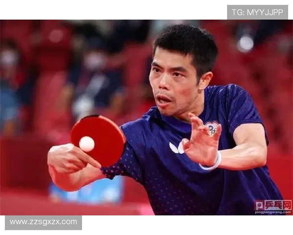 杭州乒乓球队的奋斗历程与辉煌成就总决赛特别报道